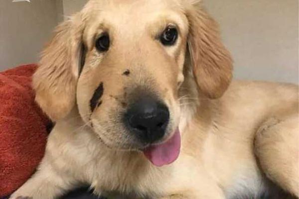 A major clothing brand announced it will expand its size range to be more inclusive