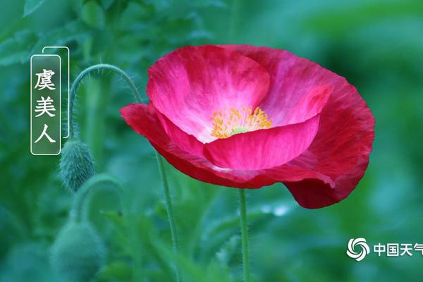 International organizations are sending medical supplies to a country hit by a recent cholera outbreak