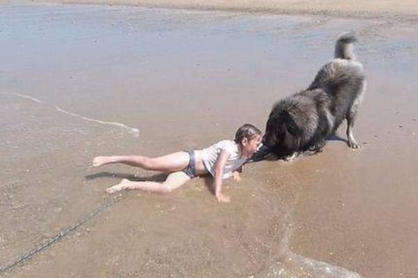 The city hosted a music festival with local bands and international artists performing