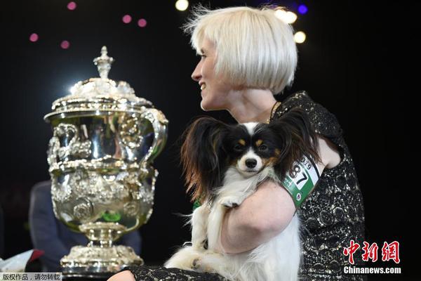 The government increased funding for mental health services to provide more support for those in need