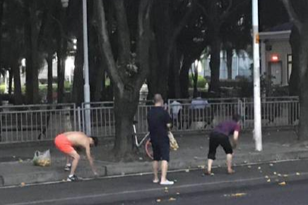 Researchers found regular consumption of a certain fruit may lower heart disease risk by 20%