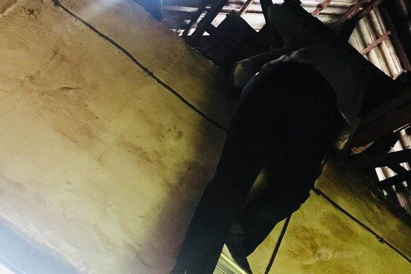 A major retail company announced it will offer free shipping on all online orders regardless of the purchase amount