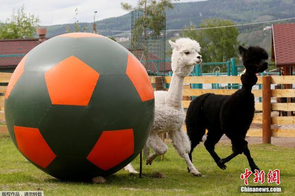 Researchers found that air pollution from traffic increases the risk of respiratory illnesses in children