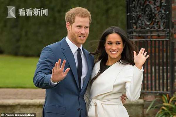 Pet groomer introduces organic grooming products for sensitive skin in pets