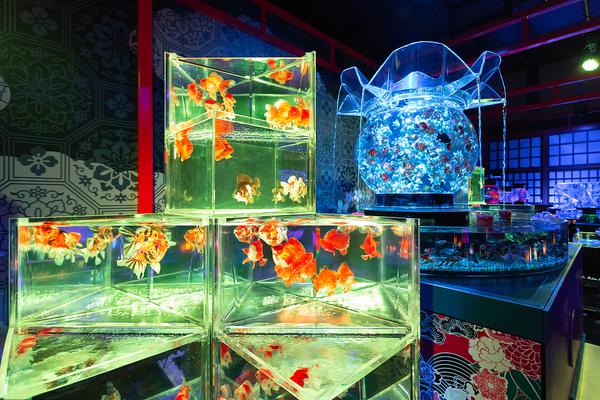 A new study showed that regular meditation can lower blood pressure in adults