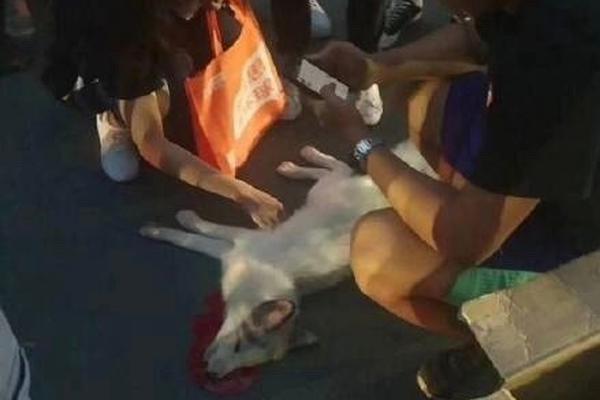 A fitness app added workout videos