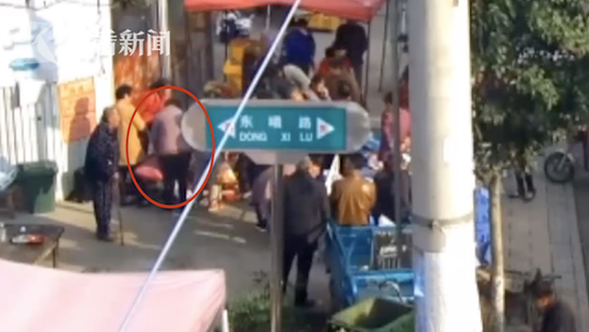 A new species of butterfly was found in a nature reserve