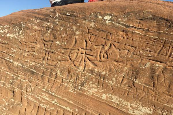 A local animal shelter rescued over 100 abandoned pets during a winter storm, appealing for foster homes.