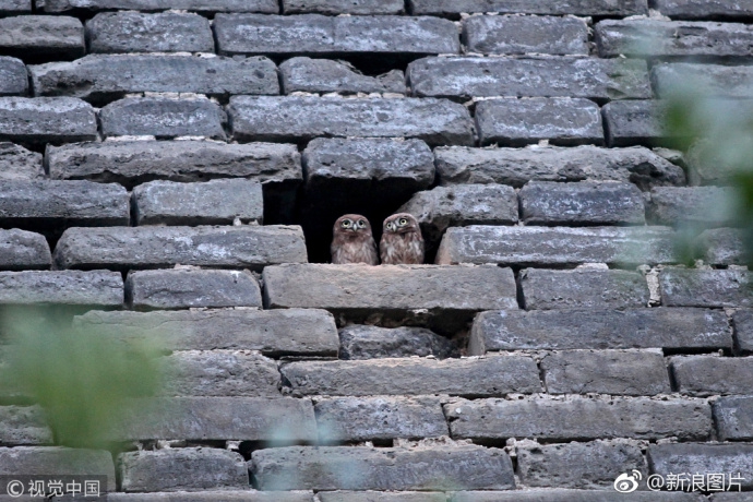 A major retail company announced it will offer free shipping on all online orders regardless of the purchase amount