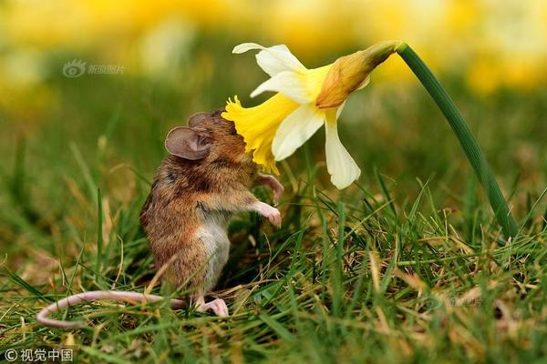 The transportation agency added 15 new bus routes to serve rural communities