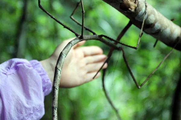 A major car manufacturer announced it will stop producing gasoline-powered cars by 2032 focusing on electric vehicles