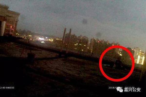 A famous director announced plans to film a documentary about endangered wildlife in the Arctic