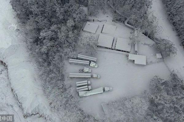 A local bakery started selling sourdough bread made with a 100-year-old starter