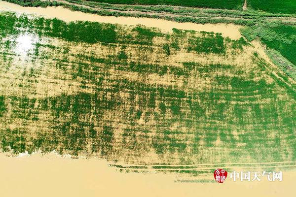 Running club hosts 10k race to raise money for local children’s hospital