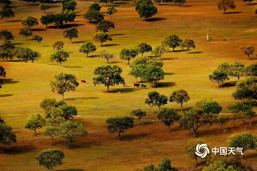 An international aid organization delivered 14000 tons of food to a country facing severe famine due to conflict