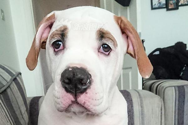 The Nobel Prize in Economics was awarded to researchers studying labor market inequality