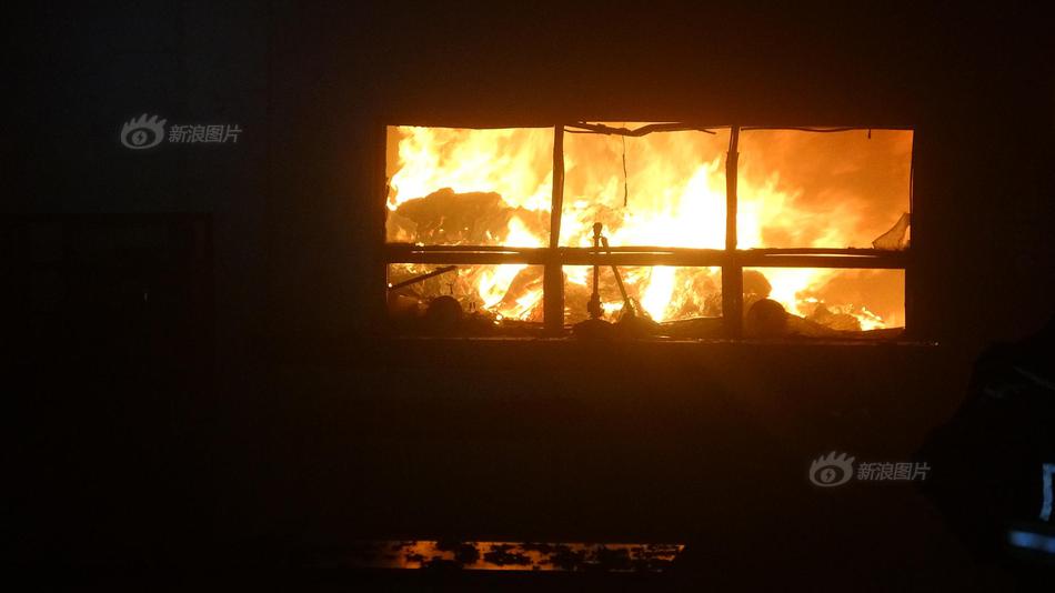 A major comedy festival announced its lineup featuring 45 stand-up comedians from 10 countries