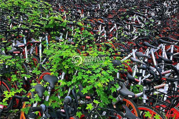 A yoga studio opened a second location after its first studio sold out classes for six months straight