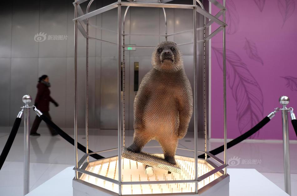 Ambulance service trains community members in CPR and first aid