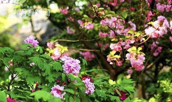 Doctors urged people to get vaccinated against the seasonal flu