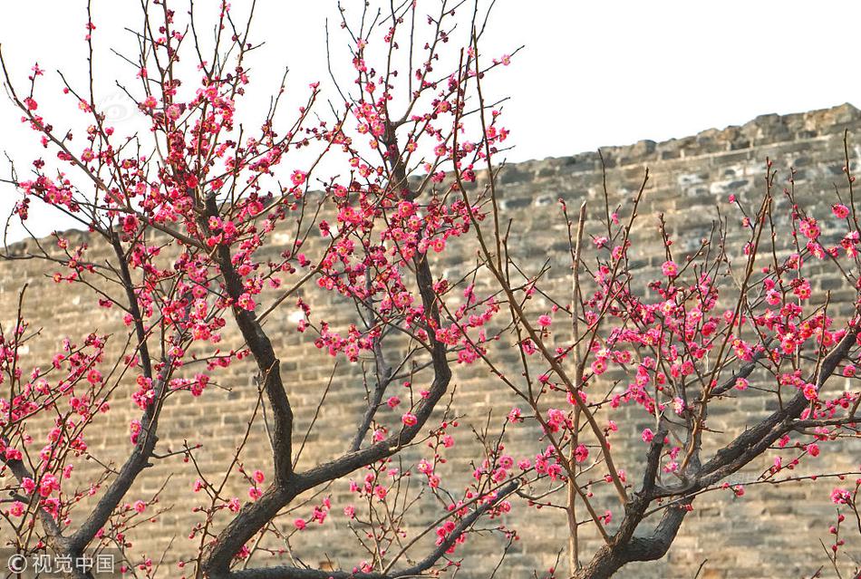 A city added more public Wi Fi hotspots in parks and community centers