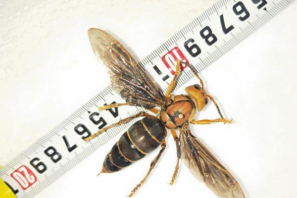 A team of archaeologists uncovered ancient pottery shards dating back 3000 years