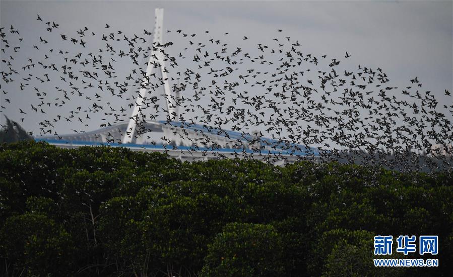 Dietitians recommend adding more whole grains to daily meals