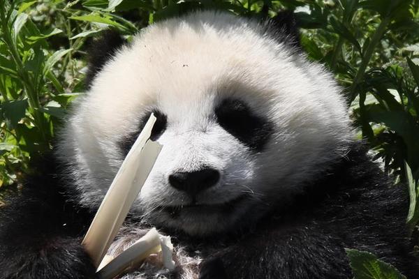 Research finds that keeping a garden improves physical activity levels