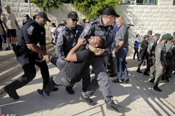 Plant store offers workshops on indoor gardening for apartment dwellers