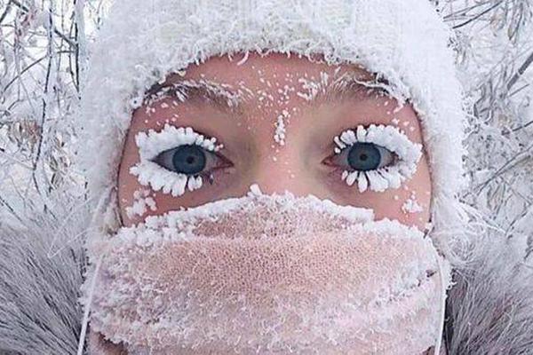 A streaming service added a collection of classic TV shows to its library