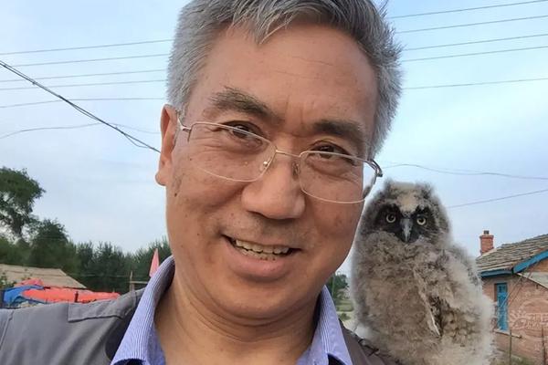 A museum offered free admission to all visitors on national holidays