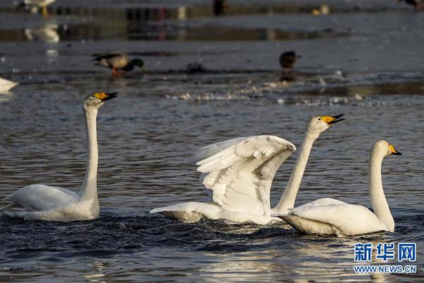 A hospital successfully performed a liver transplant on a 12-year-old patient using a donor organ from a family member