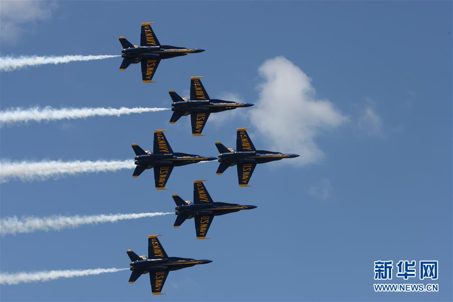 Wildlife sanctuary releases birds of prey back into wild