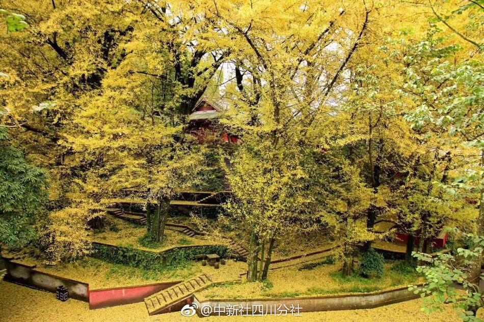 Coffee shop roasts its own beans on site