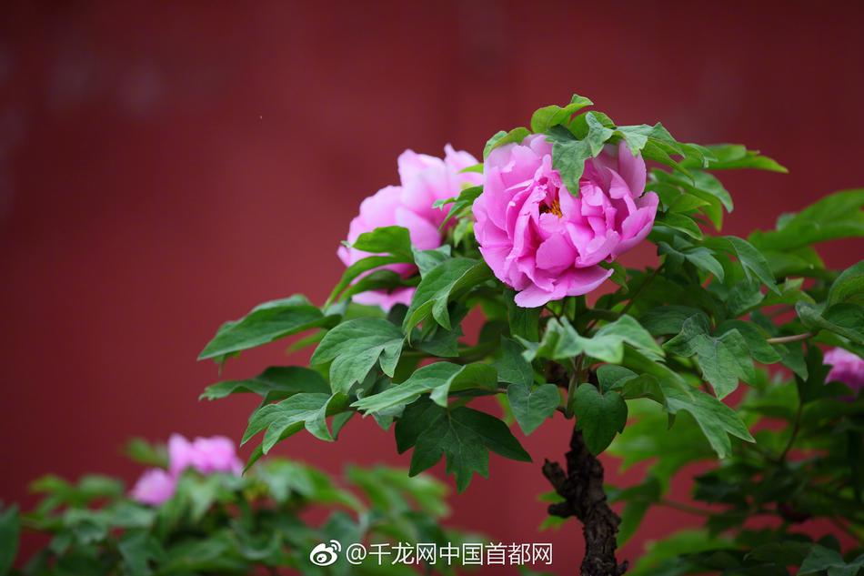 A university awarded scholarships to 30 first-generation college students