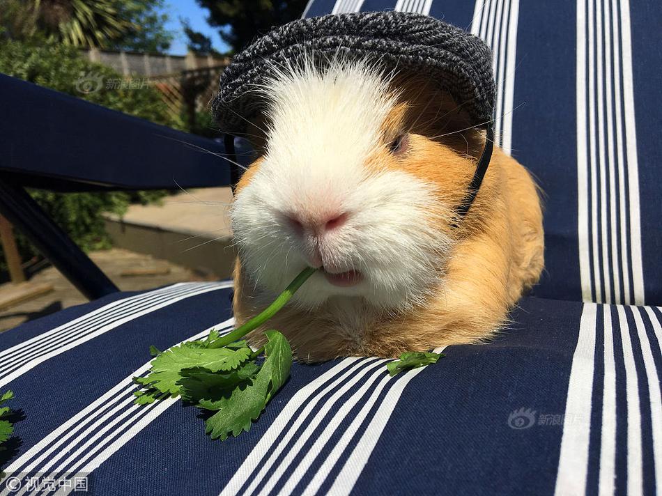 A sports equipment store began selling used gear at discounted prices to make sports more accessible