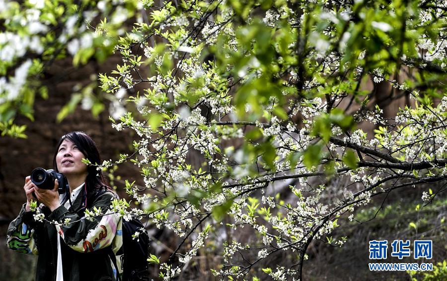 A city added more bike racks