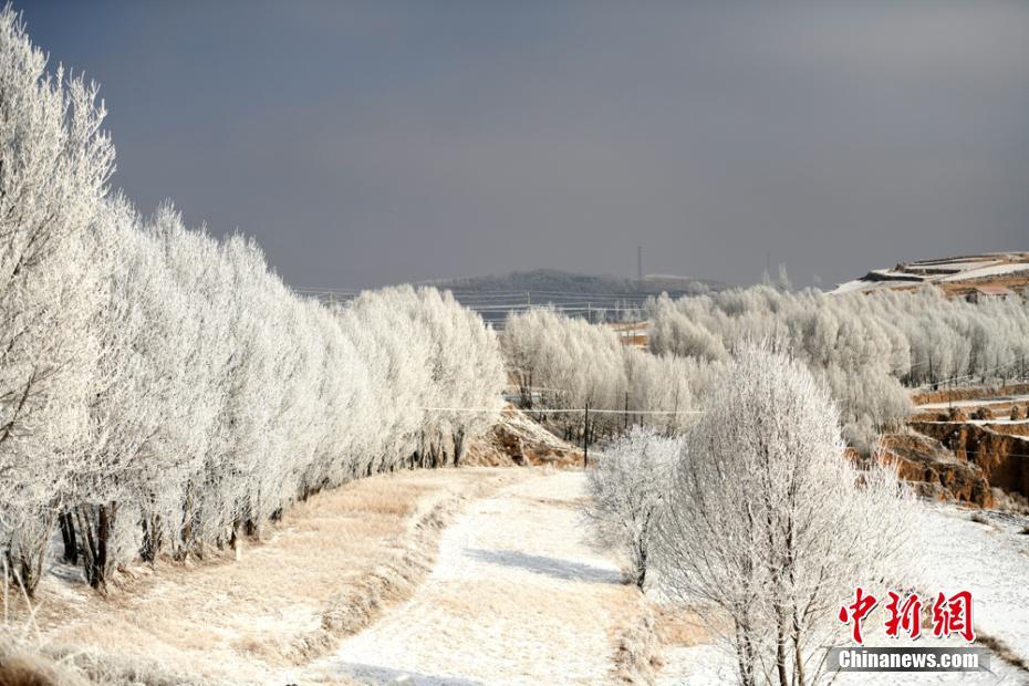 A study found that listening to nature sounds can lower stress hormones in the human body