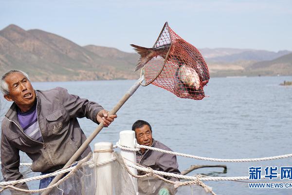 Pet hospital offers 24 hour emergency care for pets