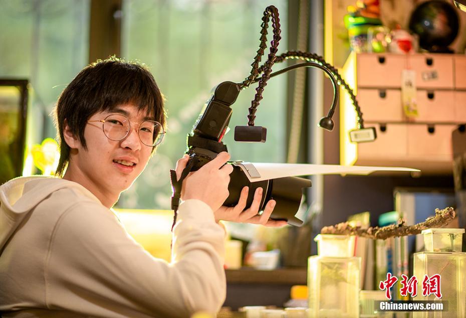 Park rangers offer guided bird watching tours at dawn during migration season