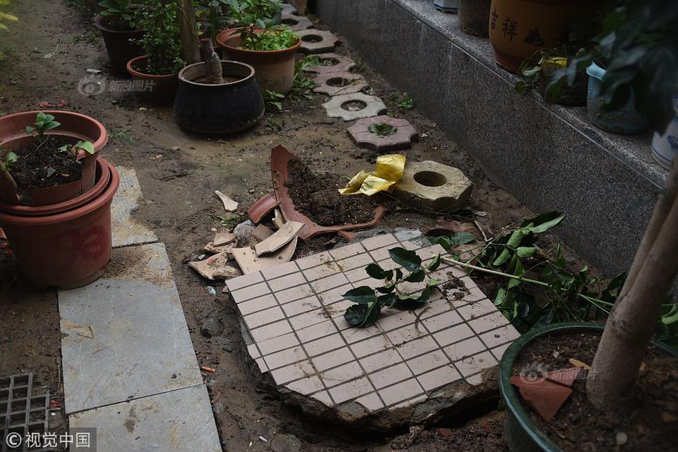 Animal shelter partners with pet store to offer discounted adoption fees