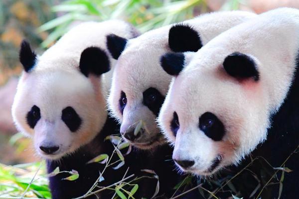 A small business owner started selling handmade candles with natural scents, featured in a lifestyle blog