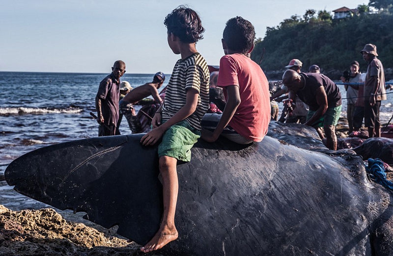 A university research team found that daily stretching can reduce back pain by 25% in office workers