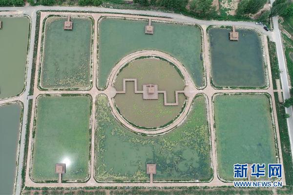 A study found green tea boosts the immune system