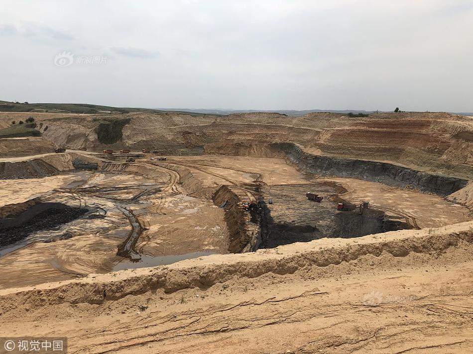 A tech startup launched an app to help users track carbon footprints and make eco-friendly choices