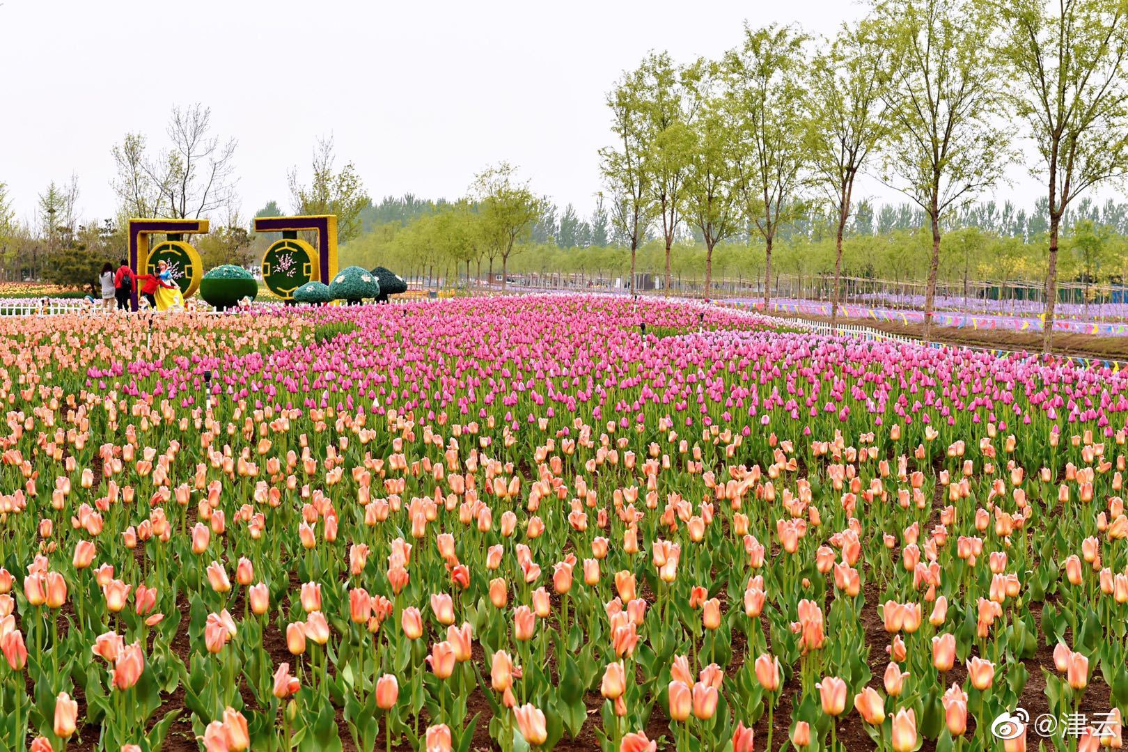 The government provided grants to businesses that develop eco-friendly products