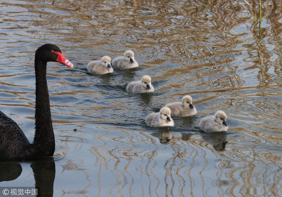 The transportation department announced plans to build a new subway station in the downtown area
