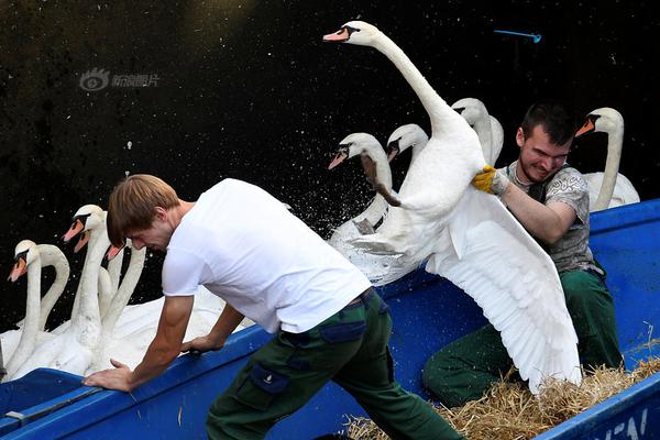 The national postal service said it will increase delivery speeds with most packages now arriving within 2 days