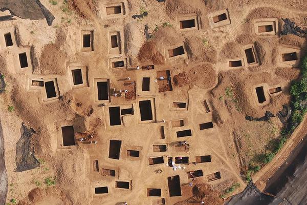 The transportation department announced plans to build a new subway line to connect the airport to the city center