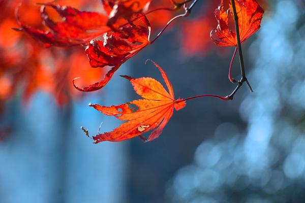 A new art gallery opened in the city center featuring works by local artists